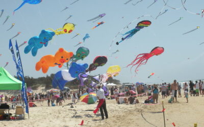 Catch a Wonderful Display of Colour at the Gold Coast Festival of Kites