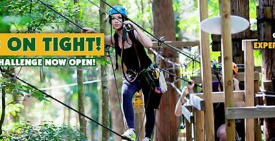 Choose your Adventure at Currumbin Wildlife Sanctuary