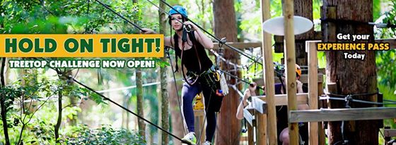 Choose your Adventure at Currumbin Wildlife Sanctuary